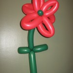 Balloon Christmas Poinsettia