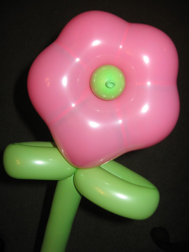 Balloon Flower